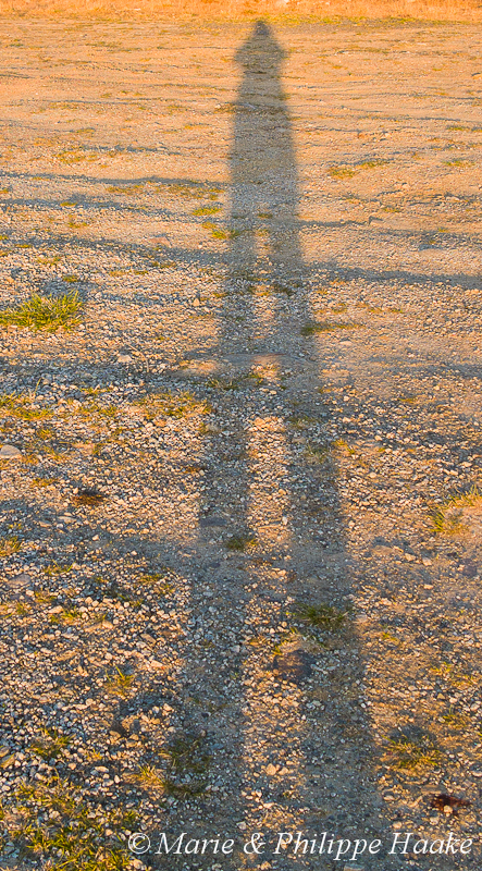 Hammerfest 1246.jpg - Ombre géante au soleil de minuit! (Hammerfest, Norvège, juin 2012)